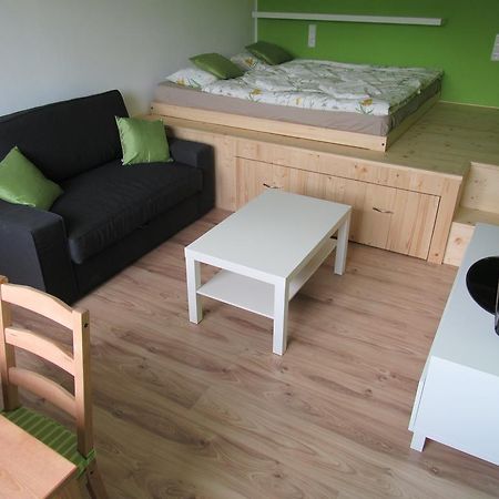 Apartman Stozec Ema Buitenkant foto